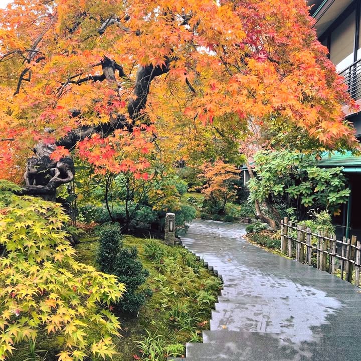 高山市内も大分色づいてまいりました。